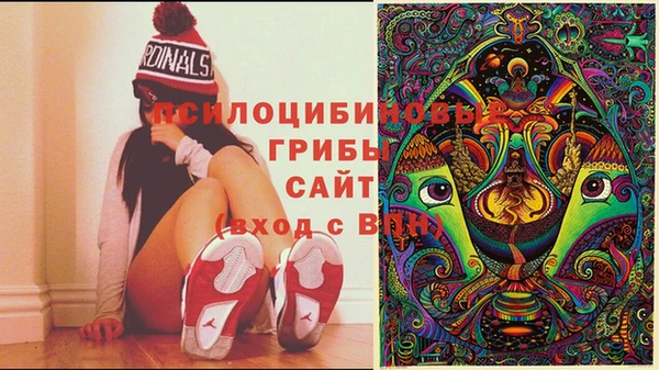 ECSTASY Остров