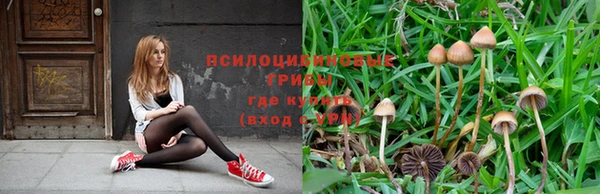 эйфоретик Осинники