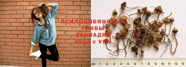 ECSTASY Остров
