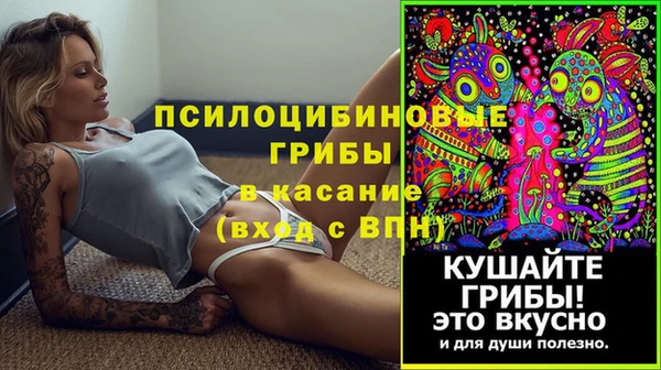 ECSTASY Остров