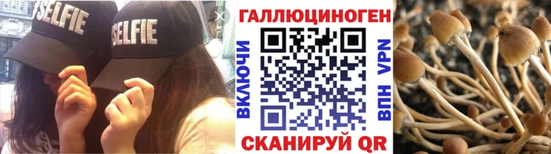 нарко площадка состав  гидра как войти  Семилуки  Псилоцибиновые грибы MAGIC MUSHROOMS 