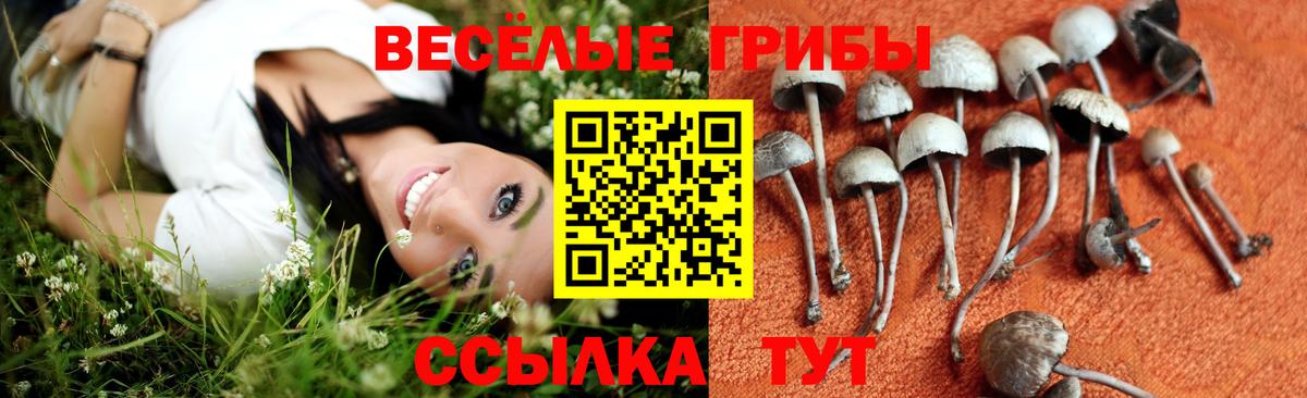 Семилуки  сколько стоит  Вход с VPN  Псилоцибиновые грибы прущие грибы 